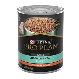 Purina Pro Plan Lata Cachorro Pro Plan Pollo y Arroz - 368 gms